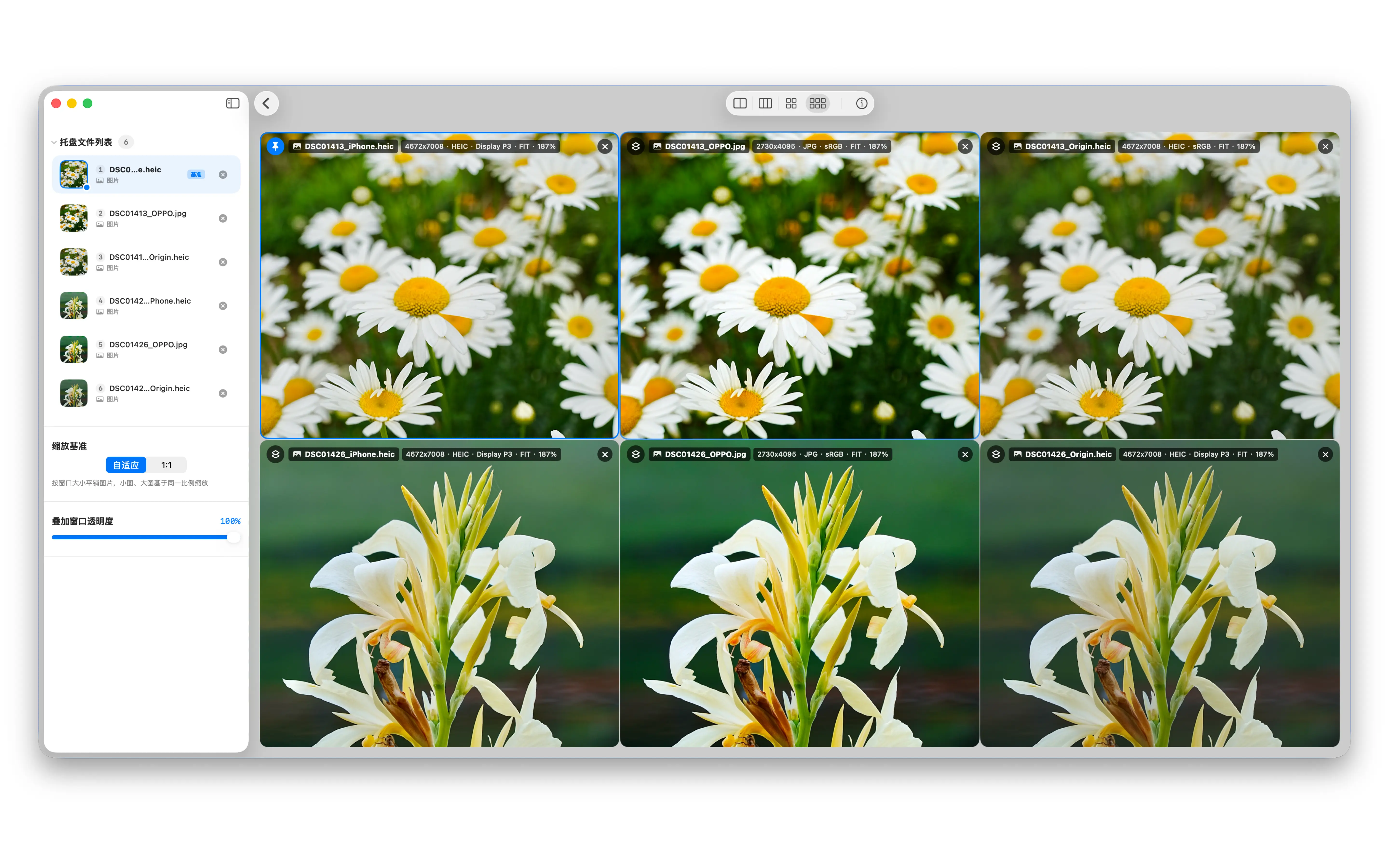 FrameSight Pro App Preview 2