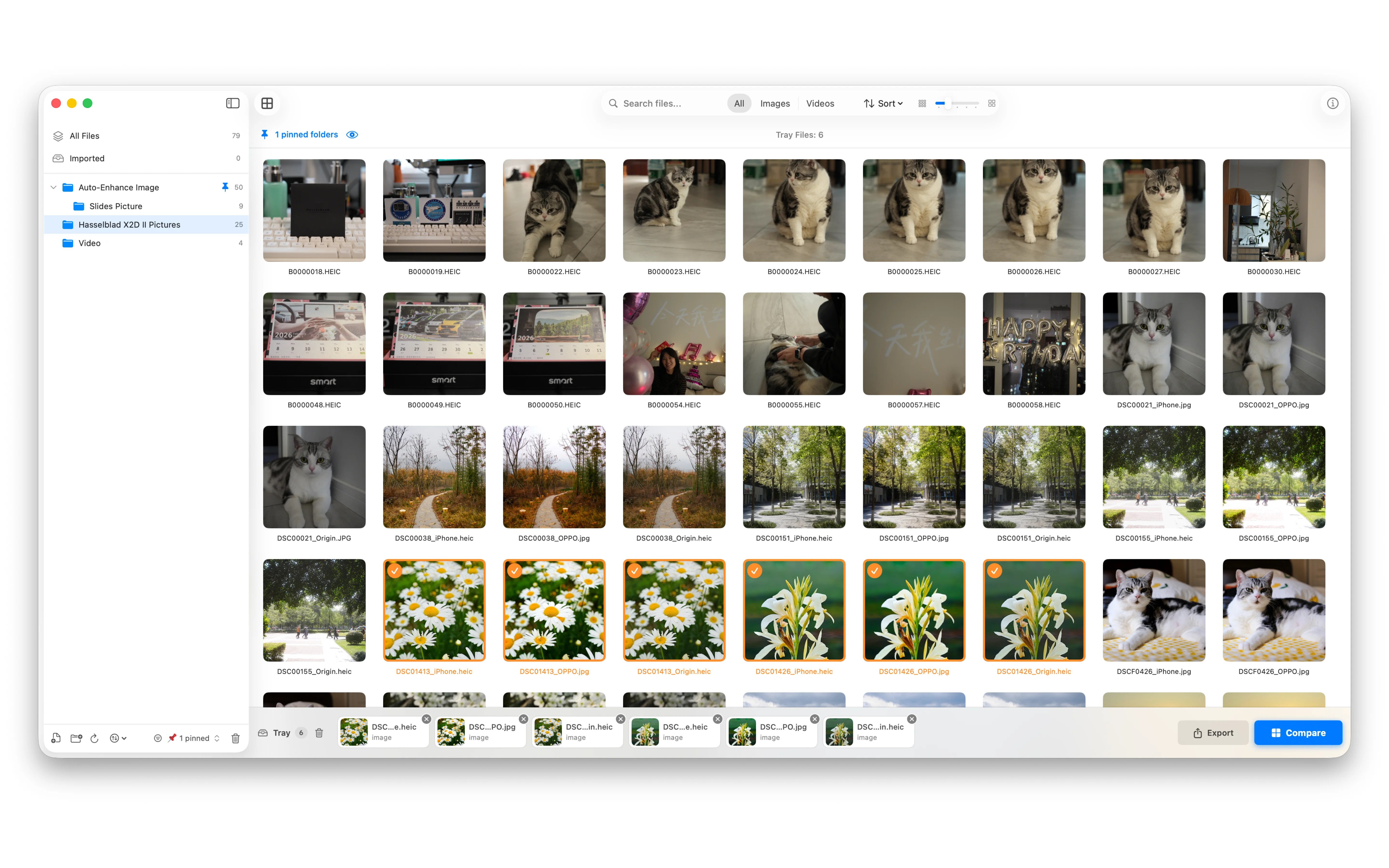 FrameSight Pro App Preview 1
