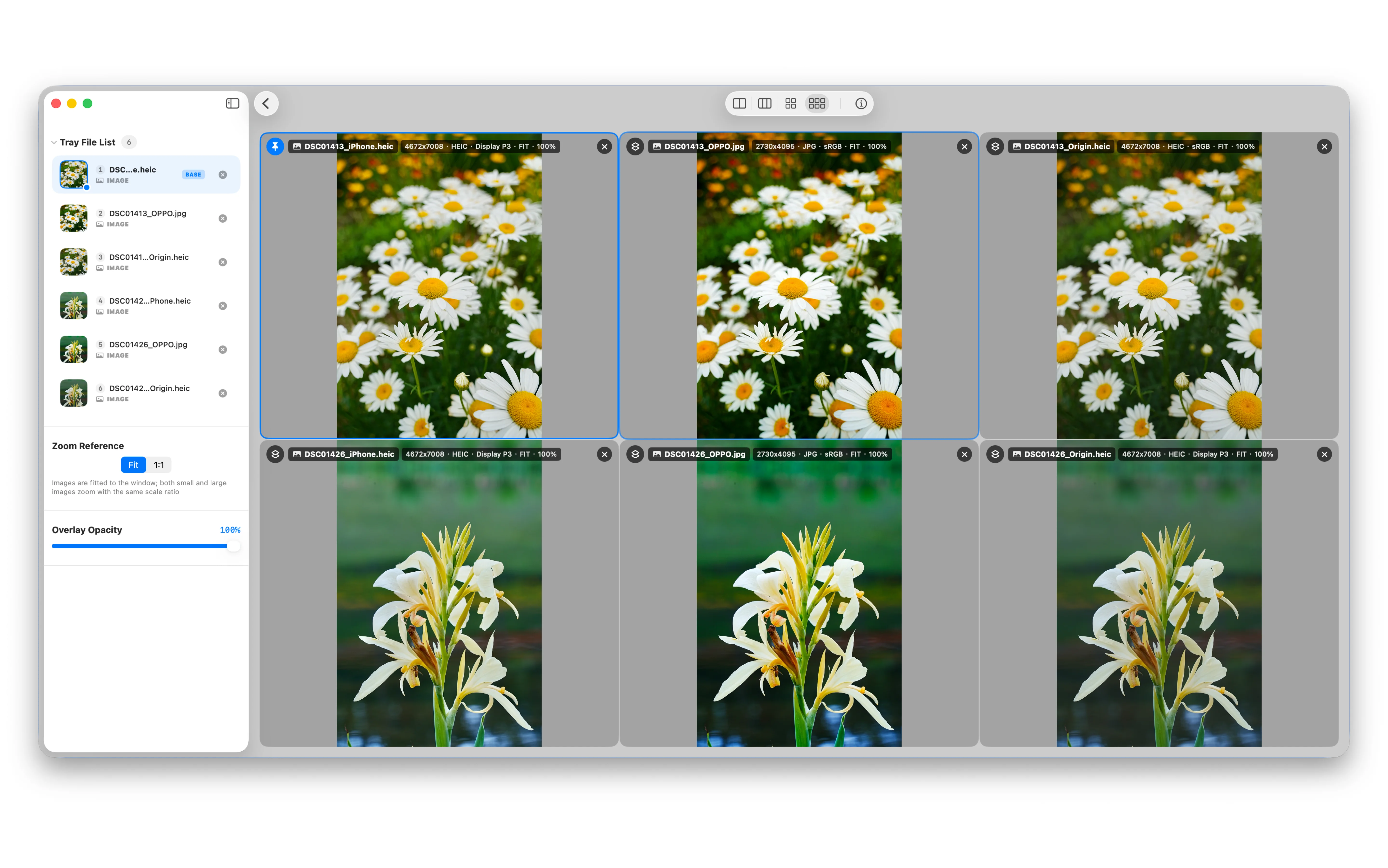 FrameSight Pro App Preview 2